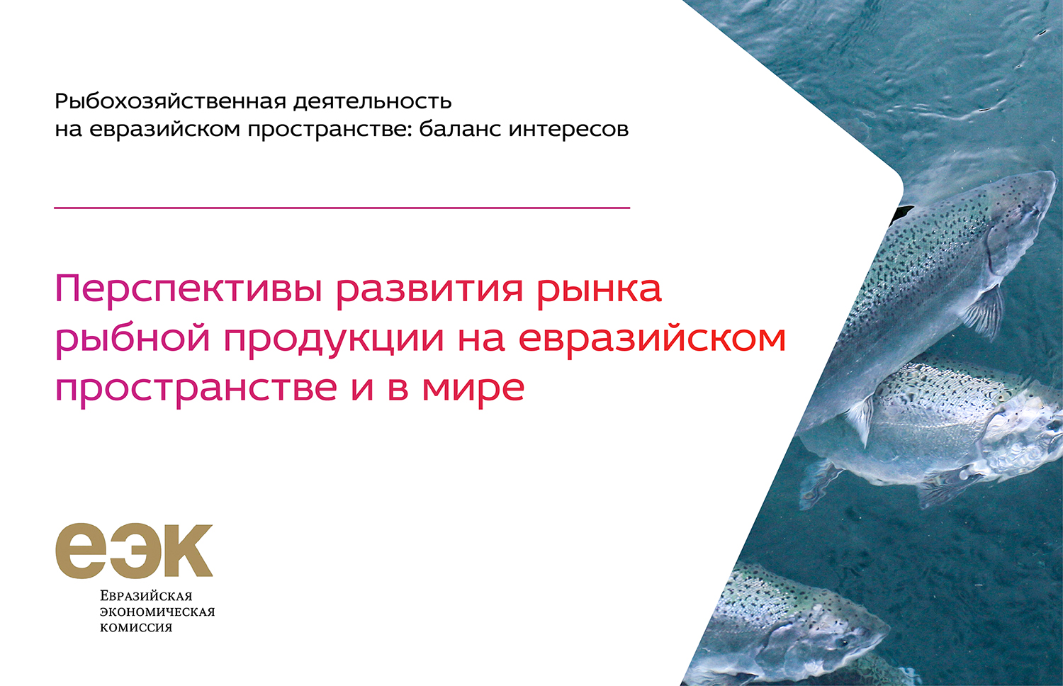 Перспективы развития рынка рыбной продукции ﻿на евразийском пространстве и в мире
