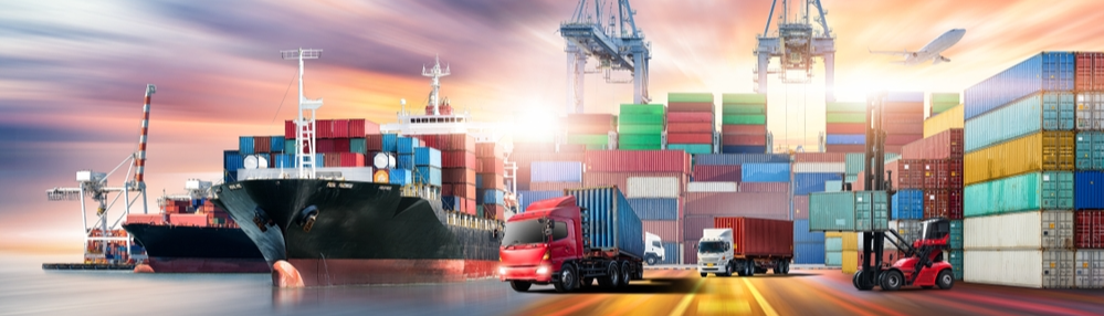 Актуальные меры государственной поддержки для импортно и экспортно ориентированных компаний