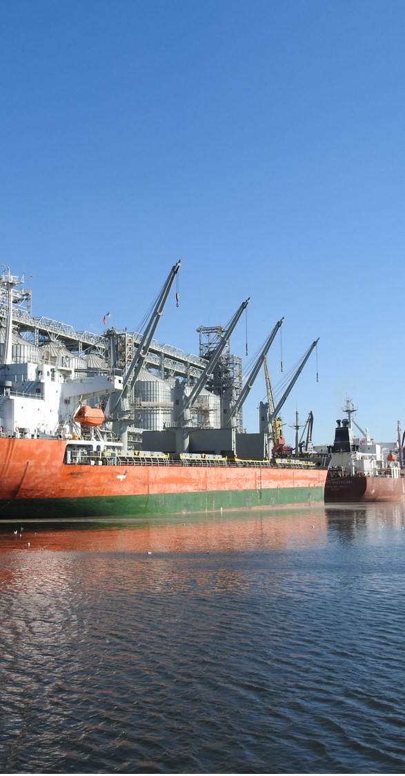 Экспорт зерна речным и морским транспортом АЧБ: возможности и ограничения