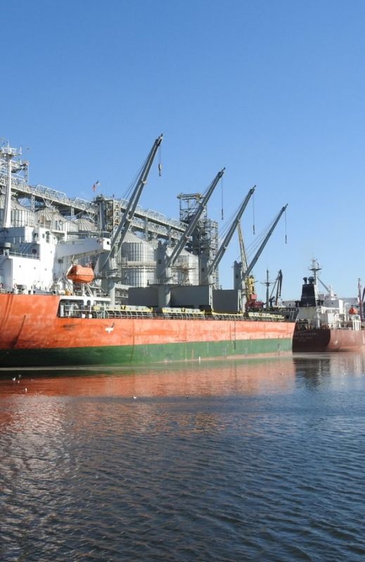 Экспорт зерна речным и морским транспортом АЧБ: возможности и ограничения
