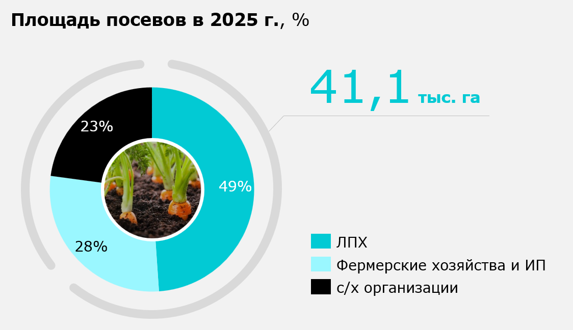 Слайд 3. Площадь посевов в 2025 году