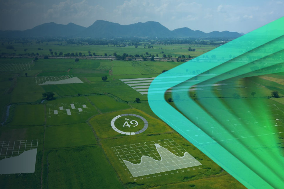 Цифровая трансформация АПК: тренды и прогнозы в исследовании Strategy Partners