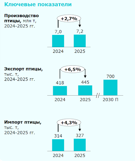 Слайд 8. Ключевые показатели. Птица